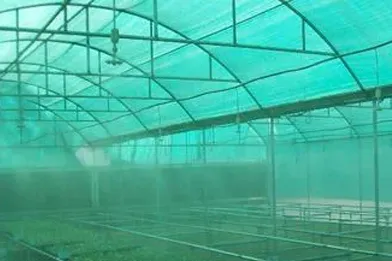 Agriculture Safety Nets In Bangalore